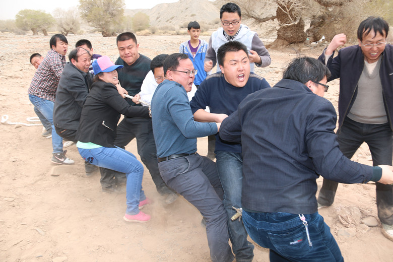 團(tuán)結(jié)拼搏